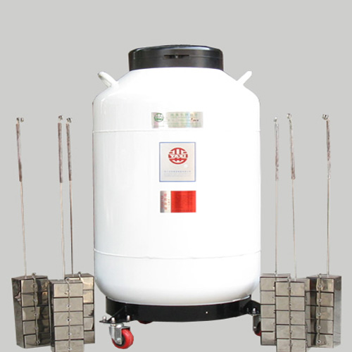 液氮容器运输贮存两用(YDS-100B-200)