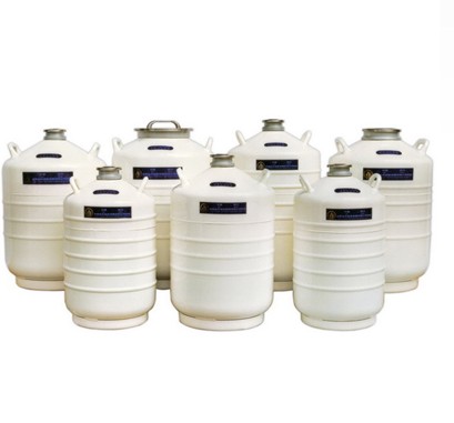 液氮生物容器贮存型(YDS-30优等品)