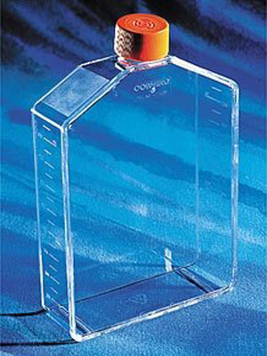 Corning康宁 225cm2透气盖角度颈培养瓶 (431082)