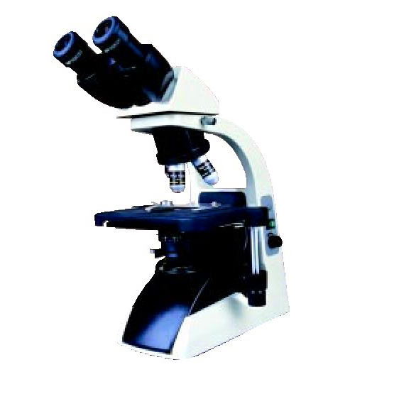 BM2000生物显微镜(双目)