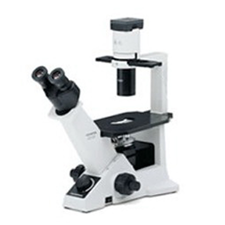 OLYMPUS奥林巴斯 CKX41临床级倒置显微镜(三目)