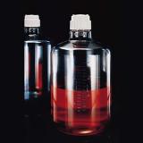 Nalgene耐洁 透明大瓶 2251-0050（瓶身PC材料，瓶盖PP材料）