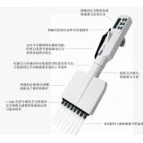 Biohit百得 Proline电子八道移液器（710210）