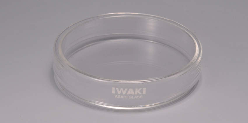 ＩＷＡＫＩ　硝子ペトリ皿|||３０－１５ＨＳ－Ｎ　１組/IWAKI玻璃培养皿| | | 30-15HS-N的1套