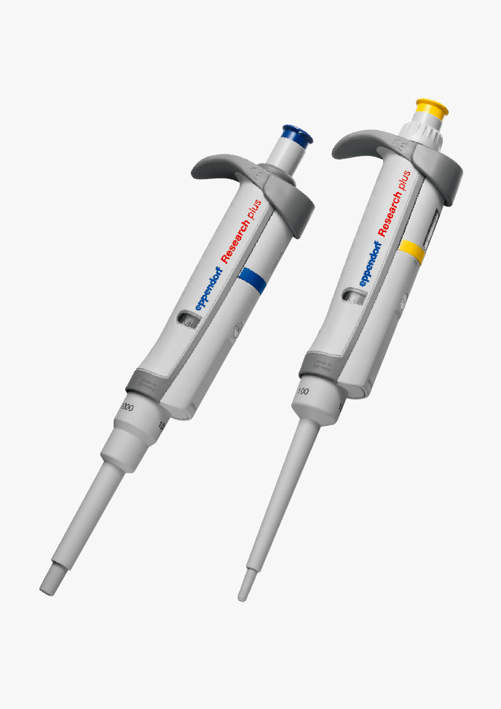 エッペンドルフ リサーチプラスV 3120|||2~20μl イエロー(yellow)/Eppendorf公司研究加V 3120 | | | 2〜20μl的黄色(黄色)
