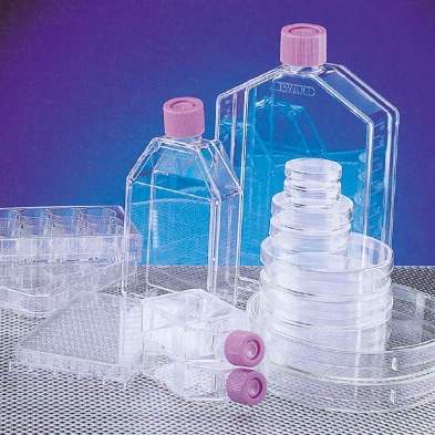 ポリ-L-リジンコートDISH|||4020-040 120入/聚-L-赖氨酸涂层的菜| | | 4020-040 120输入