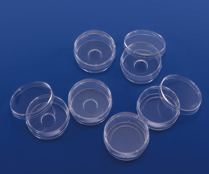 IWAKI ガラスベースディッシュ|||3971-035 20入/IWAKI玻璃基盘| | | 3971-035 20个输入