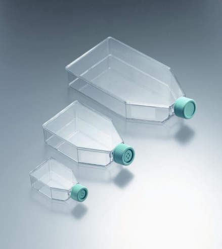 BioLite 25cm2 Flask, Vented|||130189 200入/BioLite25平方厘米瓶中,通风| | | 130189 200输入