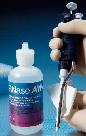 表面汚染除去材 1L|||RNase AWAY 7003/