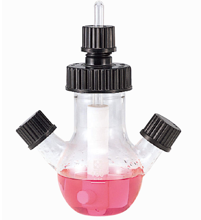 柴田 016000-100|||カルスターフラスコ 100ml/