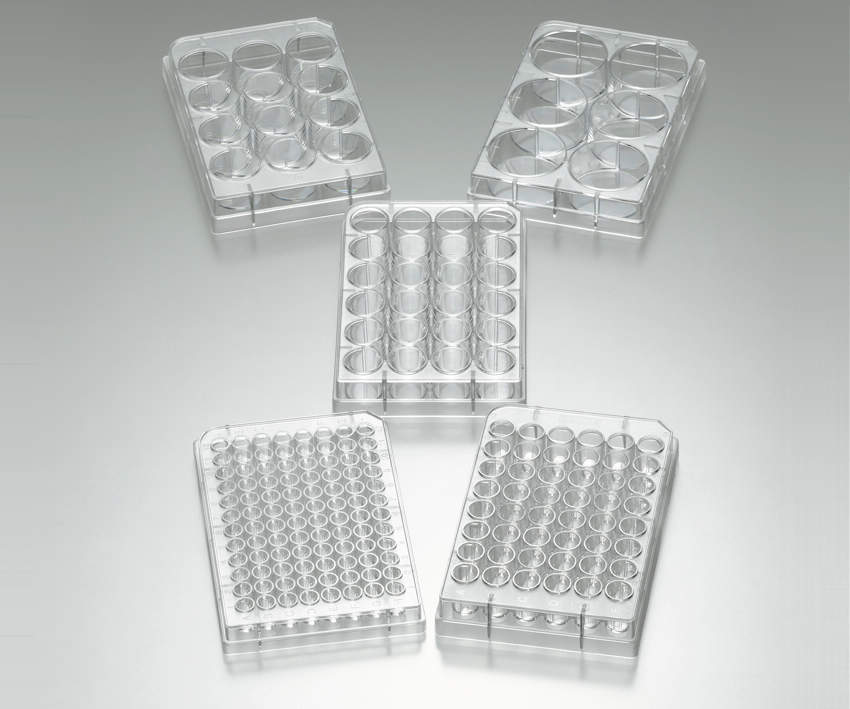 BioLite 96 well Multidish|||130188 50入/| | 130188 50输入96 Multidish BioLite