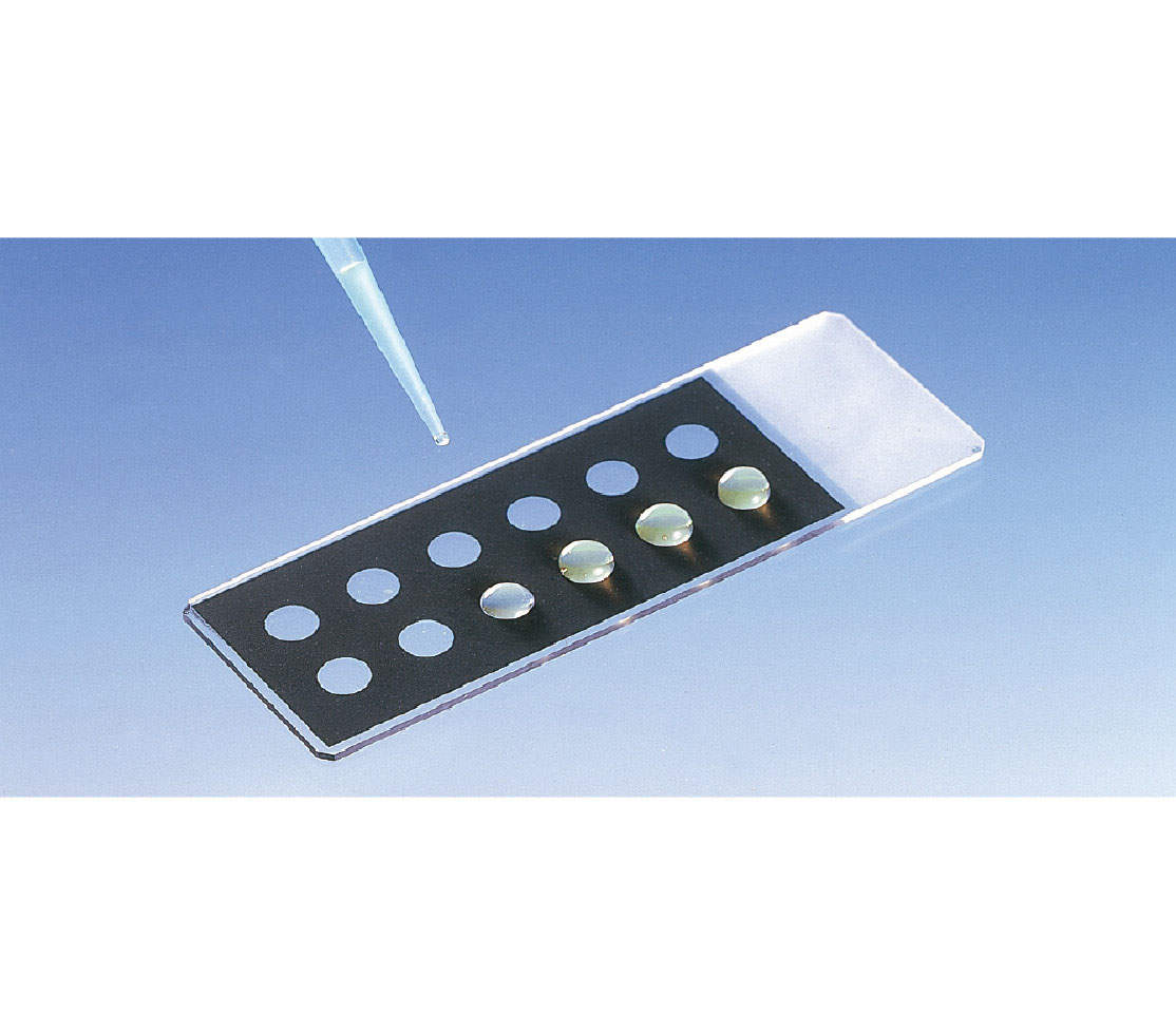 松浪 TF1006A 100入|||撥水性印刷スライドグラス 黒色/松波TF1006A 100输入| | |防水玻片上印刷黑色