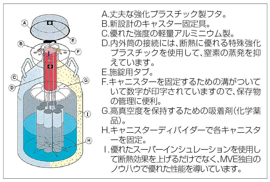 液体窒素保存容器|||SC11/7/液氮储存容器| | | SC11 / 7