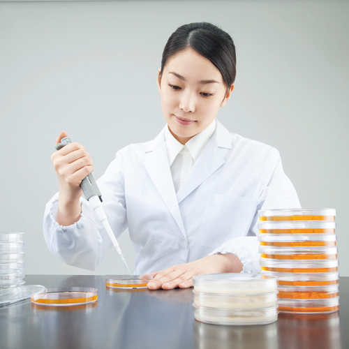 培养皿(灭菌) アズノール滅菌シャーレ PETRI DISHES