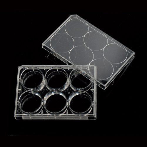 平底细胞培养板 組織培養用プレート TISSUE CULTURE PLATE
