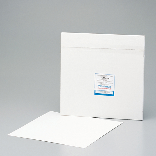 色谱法用纸方型 クロマトグラフィー用ペーパー角型 FILTER WHATMAN