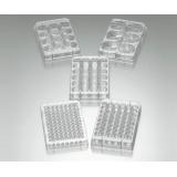 BioLite 6 well Multidish|||130184　50入/| | 130184 50 | 6输入Multidish BioLite 