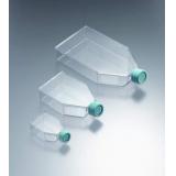 BioLite 25cm2 Flask, Vented|||130189　200入/BioLite25平方厘米瓶中，通风| | | 130189 200输入