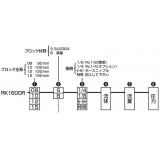 流量計ＲＫ１６００Ｒ　１００㎜|||ボディＢ　流量２０Ｌ/